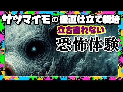 【さつまいも垂直仕立て栽培】 閲覧注意級の恐怖に襲われ立ち直れない