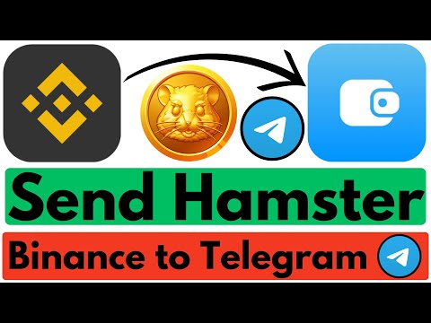 How to Send Hamster Kombat Binance to Telegram Wallet | Binance to Telegram Transfer Hamster Coin