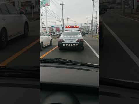 🇯🇵 #police #japan #viral #viralvideo #trending #shorts #shortvideo #youtube #youtuber #policecar