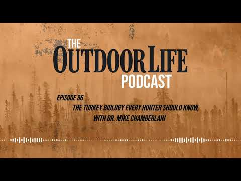 Episode 36: The Turkey Biology Every Hunter Should Know, with Dr. Mike Chamberlain