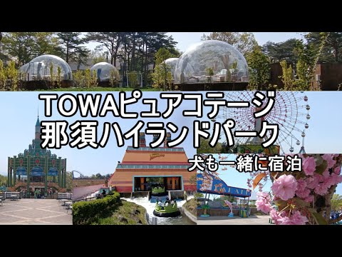 【犬と一緒に行く貸別荘と那須ハイランドパーク】栃木県那須町にあるTOWAピュアコテージさんは、犬にとっても優しい宿泊施設です。那須ハイランドパークには犬も一緒に入園できます。【ちょっとお出かけ】