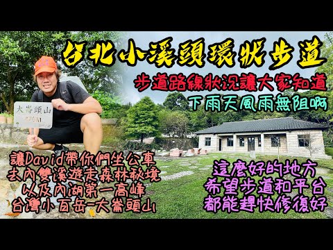 台北小溪頭環狀步道《步道最新近況》｜David帶大家搭公車，去內雙溪遊走森林秘境｜步道簡單容易，非常受大家喜愛｜健行路線、交通方式，一次讓大家明瞭｜