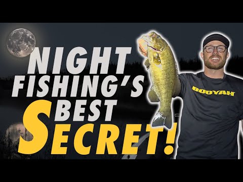 Nighttime Spinnerbaits: The Secret Weapon for Big Bass! (Booyah Covert Spinnerbait)