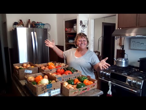 Flash Food Haul | WOW! All This Produce For 30 Dollars