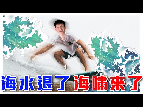 法院認證！司法還我清白！｜海水退了，海嘯來了｜開箱我的判決書｜波特王好帥