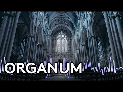 Discover Organum Music