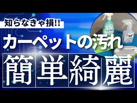 足元のカーペットの汚れを市販されている洗剤とブラシでクリーニング