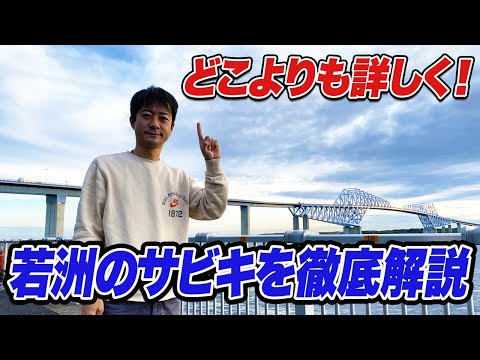 【サビキ釣り講座 -若洲海浜公園-編】投げ釣り/撒き餌禁止の東京で最も効果的なサビキ釣りを解説！