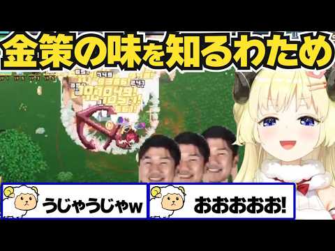 【角巻わため】ホロキュアで金策の味を知るわため【ホロライブ切り抜き】