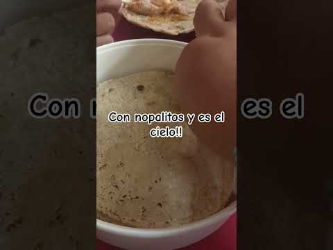 Tortillas de comal #parati #real #shortsviral #comidamexicana