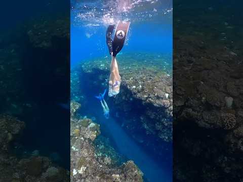 Explore the Cave #freediving #mermaids #フリーダイビング #スキンダイビング #人魚 #マーメイド