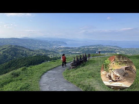 熱川バナナワニ園 / 大室山 ～ 伊豆半島 １泊２日(２日目)