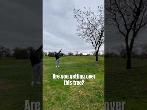 Can you hit the mega flop? #golf #golfswing #flopshot #playgolf