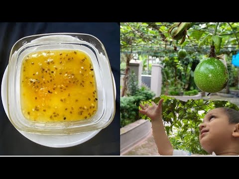 Simple Passion Fruit Pudding/ ഫാഷൻഫ്രൂട്ട് കൊണ്ടൊരു ഈസി പുഡിങ് /Eid special Simple Pudding