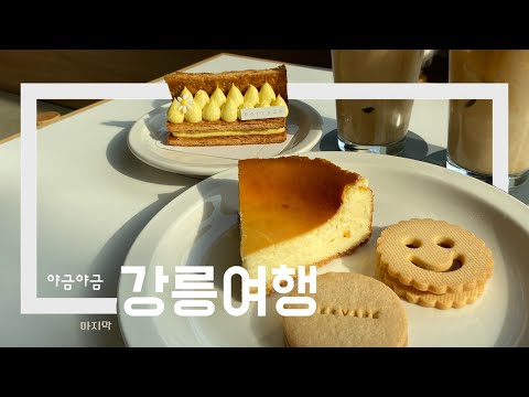 1박 2일 강릉 여행 브이로그 마지막 | 초보운전 국내여행 편집샵 강릉카페 [트래블메이커]