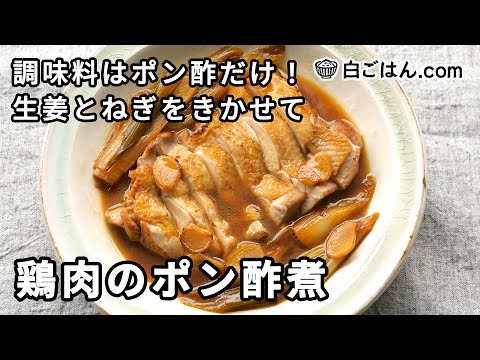 鶏肉のポン酢煮／調味料はポン酢だけ！生姜をねぎをきかせて風味良く仕上げる