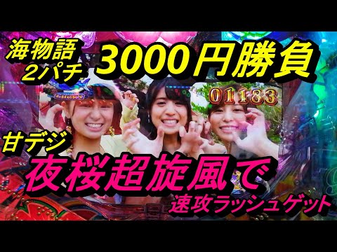 海物語2パチ3000円勝負【夜桜超旋風99Ver】お座り5回転目で魚群出現！