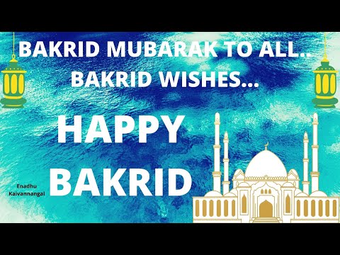 Bakrid whatsapp status |Happy eid ul adha  #shorts