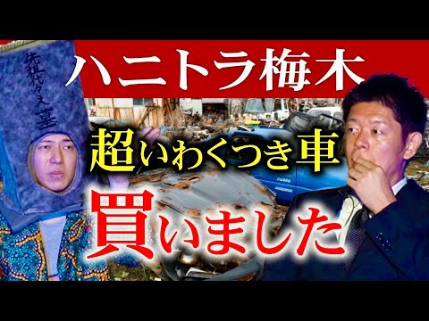 本当にヤバイよ!!!!【ハニトラ梅木】超いわくつき車を所有 トラブル多発 ※やっぱりハロウィンは梅木さん墓川柳など盛りだくさん『島田秀平のお怪談巡り』