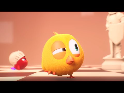 Captain Chicky | Where's Chicky? | Cartoon Collection in English for Kids | New episodes HD