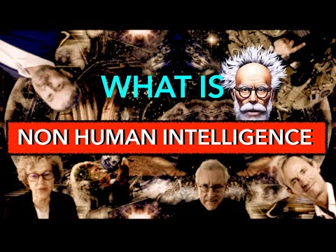 UAP are Non Human Intelligence