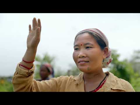 The Great People’s Forest of the Eastern Himalayas