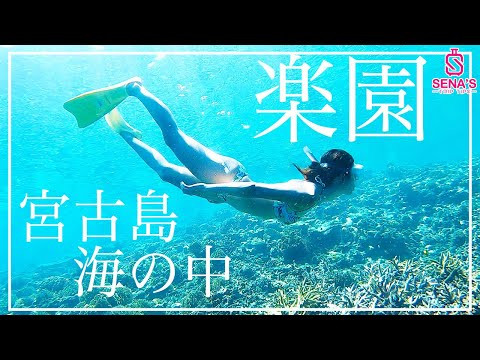 【世界に誇れる宮古島の海】楽園の海ヤビジのシュノーケリングツアーを紹介！