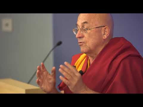 Matthieu Ricard Altruism  Talks at Google