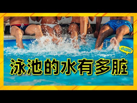 你知道泳池的水有多脏吗? #泳池 #游泳池