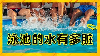 你知道泳池的水有多脏吗? #泳池 #游泳池