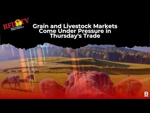 Grain and Livestock Markets Come Under Pressure in Thursday's Trade