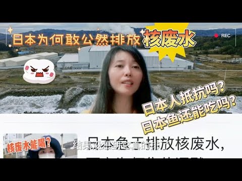 日本为何敢公然排放核废水？日本民众啥态度？西方媒体有啥反应？【智君奈奈看日本Tokyo】