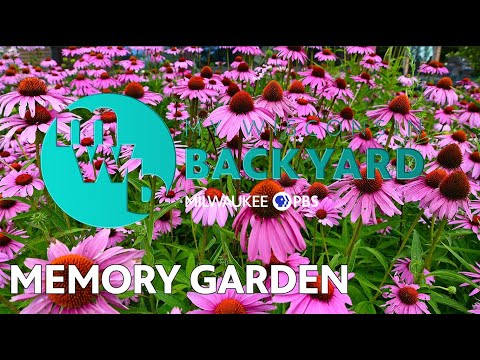 My Wisconsin Backyard | Web Series | Memory Garden