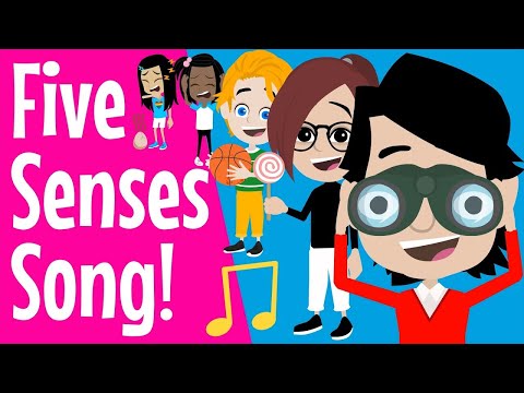 The 5 Senses | Five Senses Song - Heads Shoulders Knees And Toes! | Science Song for Children