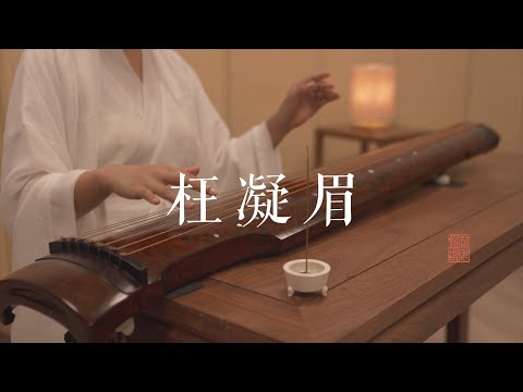 古琴版Guqin《枉凝眉》——电视剧《红楼梦》主题曲。