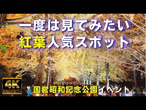 4K【紅葉人気スポット】昭和記念公園ライトアップイベント★観光★