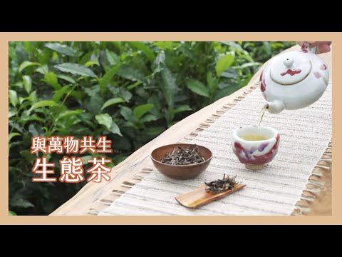 【 里仁×生態茶 】與萬物共生