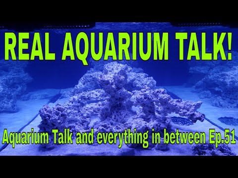 Let's keep aquarium talk real!