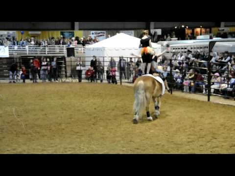 Horse Vaulting @ South Jordan Equestrian Center