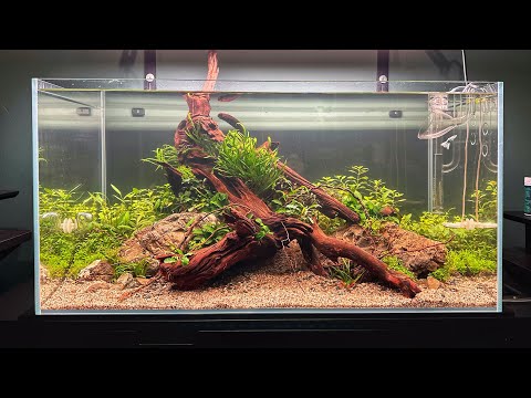 STUNNING home office AQUASCAPE - FULL TUTORIAL  (4K)