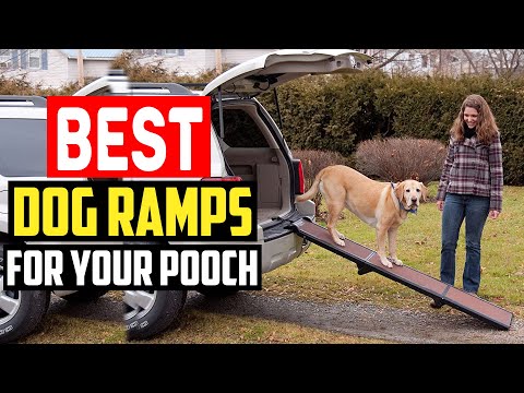 ✅ Top 5 Best Dog Ramps for Your Pooch in 2023