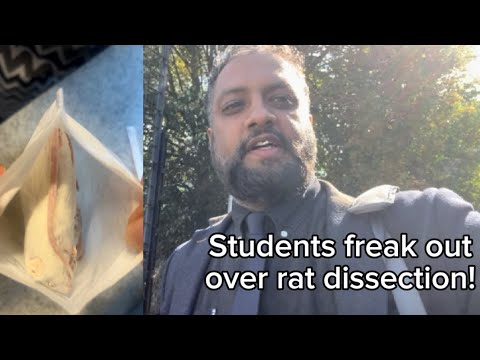 Students freak out over rat dissection!