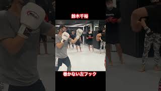 鈴木千裕　巻かない左フック #パラエストラ八王子 #mma