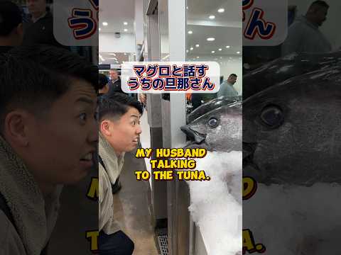 マグロと話すうちの旦那さん #オーストラリア #シドニー #マグロ #海外 #魚  #ワーホリ #ワーキングホリデー  #Australia #せきもと夫婦