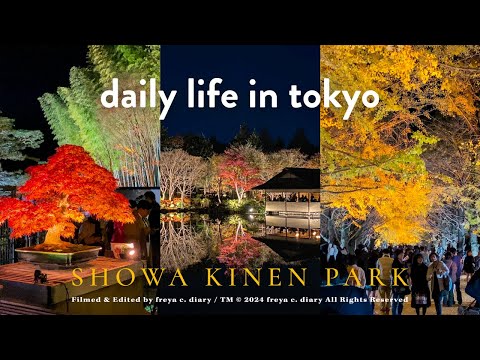 My Parents Visit Tokyo Vlog🍁 | Showa Kinen Park Night Walk, Magical Japanese Garden Light-ups✨