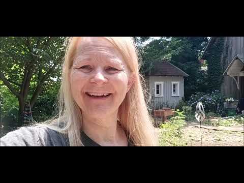 FRUGAL FAMILY HOMESTEAD SELF SUSTAINABILITY GARDEN UPDATE