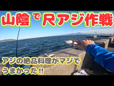 投げサビキ釣りで尺アジがえ狙る山陰、前週は尺アジが多く釣れていたらしいので期待大！