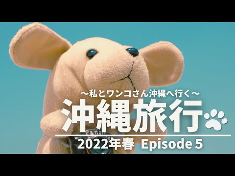 【沖縄旅行】Episode 5 ☆私とワンコさん沖縄に行く2022年春☆ 那覇市内〜琉球村・座喜味城跡