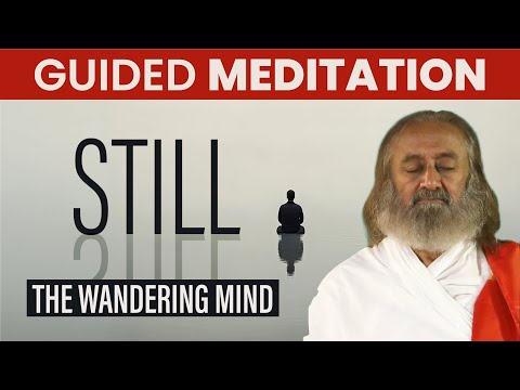 Stillness Through Movement | Guided Meditation | Gurudev