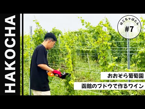 #7 【函館】葡萄園｜ワイン｜函館観光｜ひろめ荘｜ハッコーバー｜はこちゃばとん